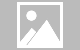 鹤岗制作网站发布信息（网站如何发布信息）